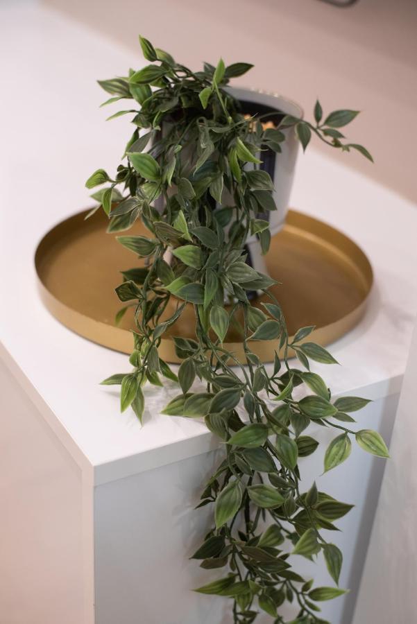 Medluxe Cozy Apartment! Athen Eksteriør bilde